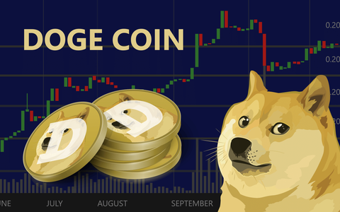 Dogecoin: The Story and Lessons from Rise to Fall