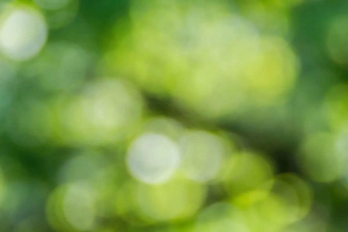 Global in Green. Nifty to Follow? Pre Market Analysis