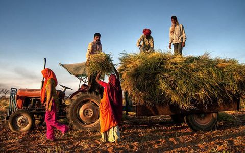 How the Rural Economy Reflected on the Stock Market in COVID-19