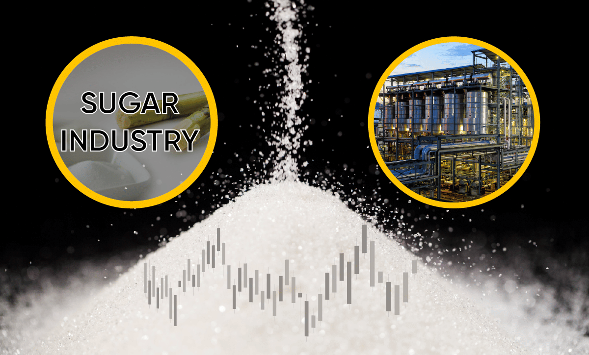 Sugar Stocks Rally to Continue?