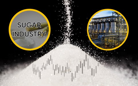Sugar Stocks Rally to Continue?