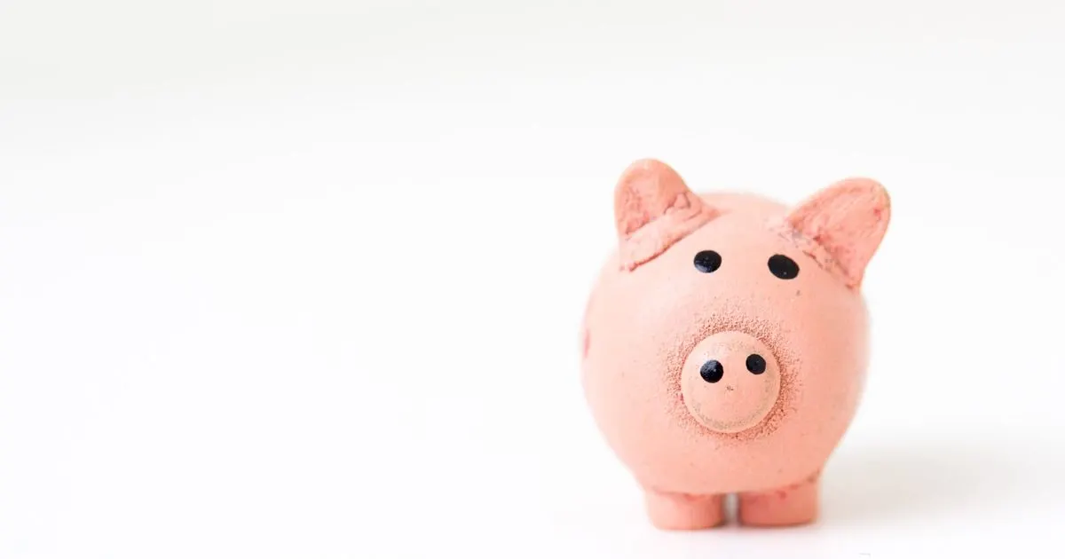 What is Dividend Yield?