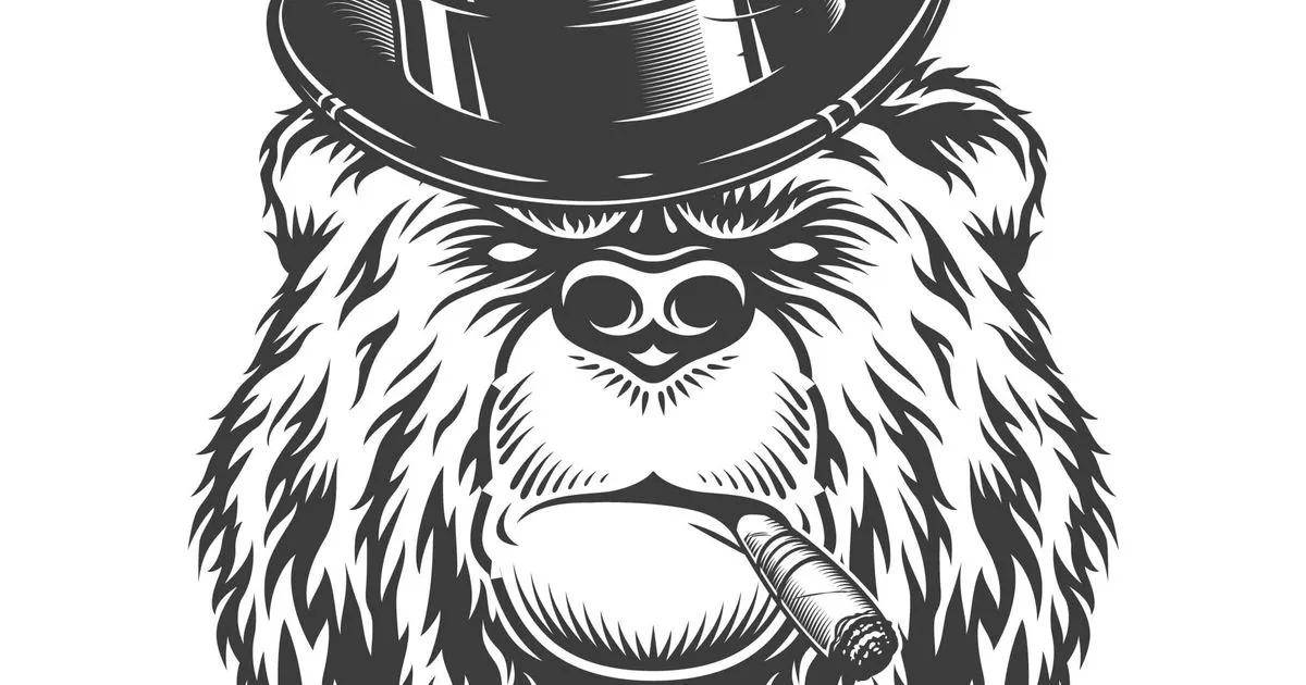 Who Let The Bears Out? Bears' Expiry and Killer Candles - Post-Market Analysis